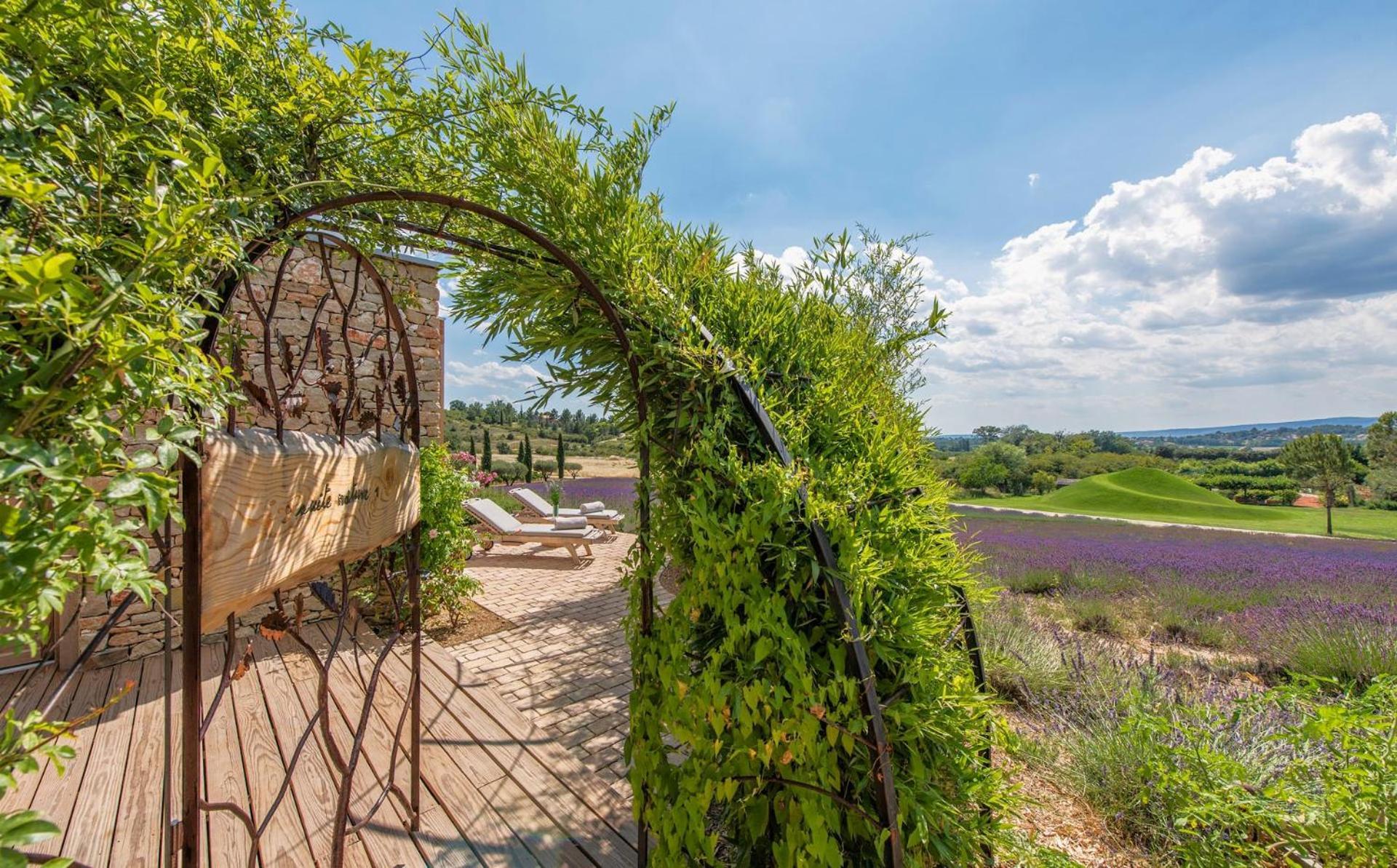 Hotel Domaine Des Andeols Saint-Saturnin-lès-Apt Zewnętrze zdjęcie
